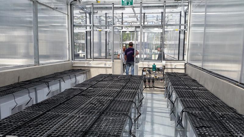 Nhà Kính Biến Đổi Gien 