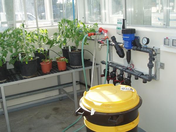 Nhà Kính Biến Đổi Gien 