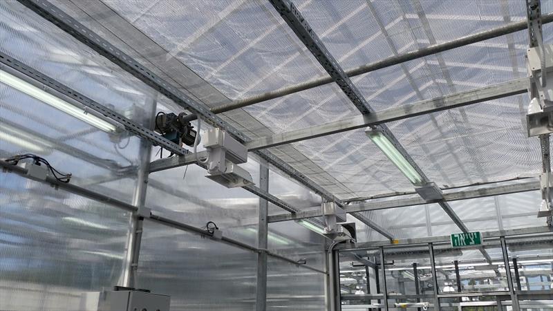Nhà Kính Biến Đổi Gien 