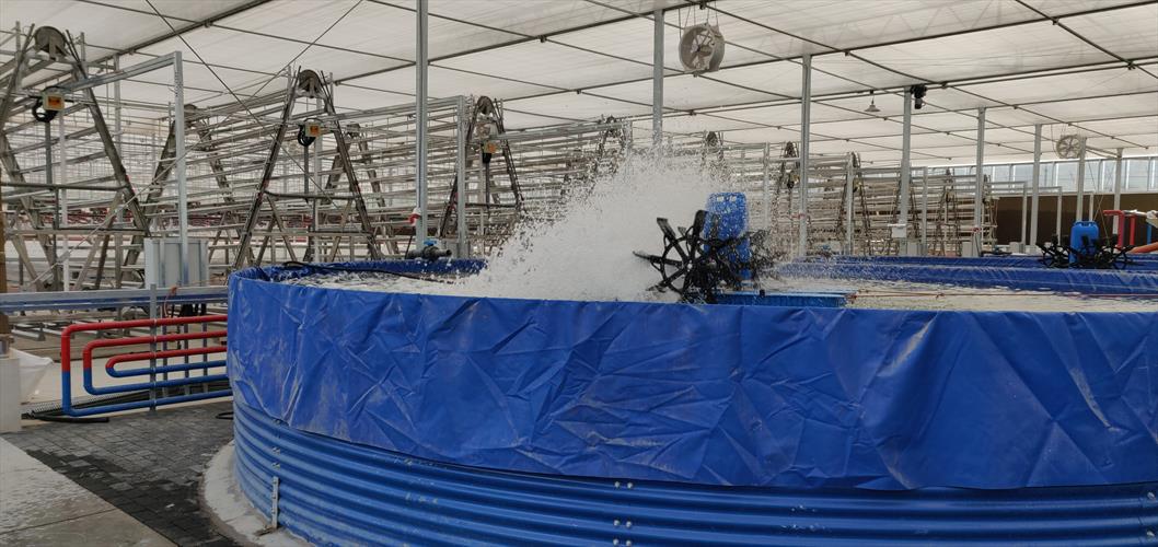 Recirculation Aquaculture System (RAS)