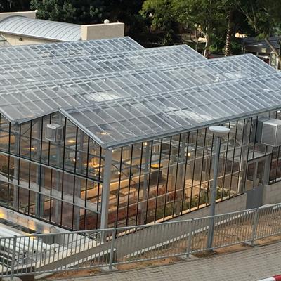 Transgenic Research Greenhouse