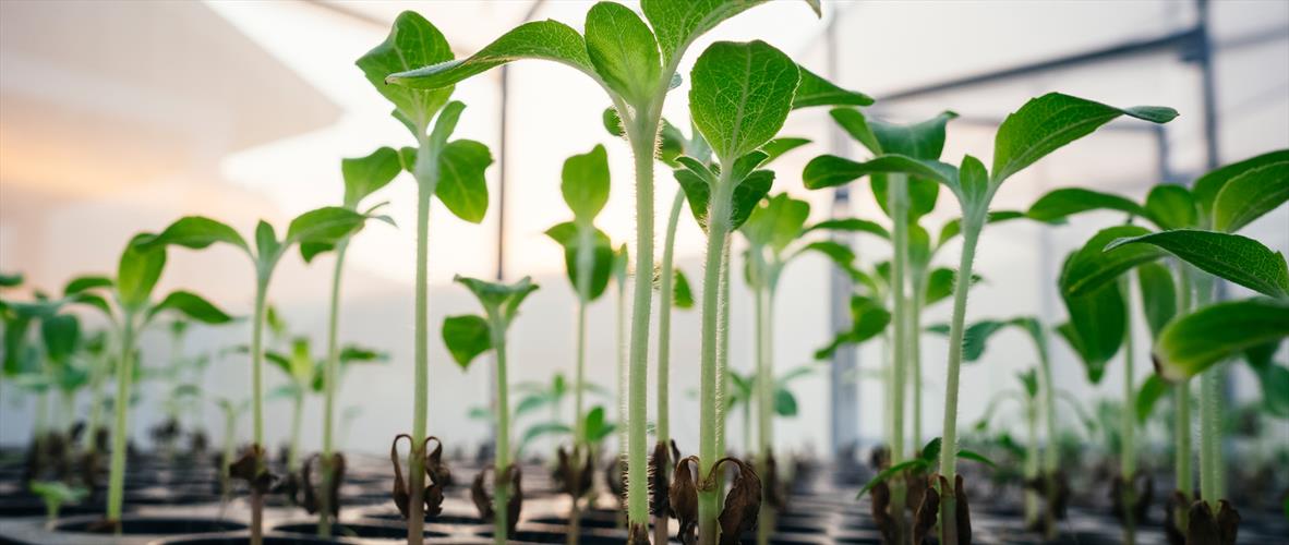 Các Hệ Thống Nông Nghiệp Tiên Tiến