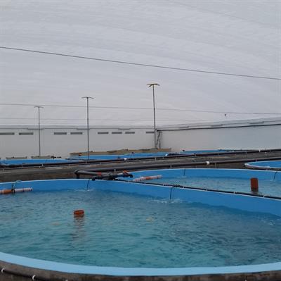 Recirculating Aquaculture System in Fujian China – Dagan