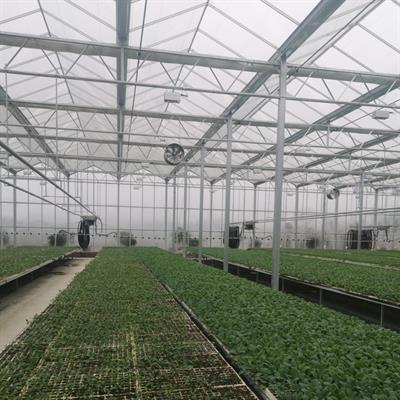 Guiyang Agricultural
