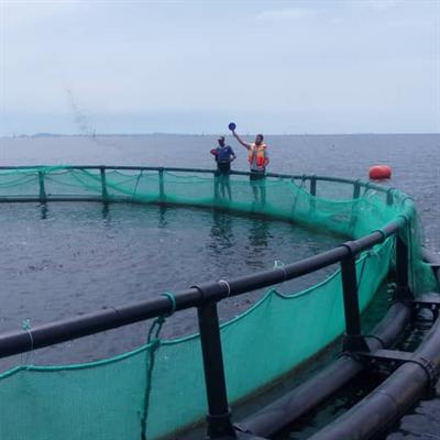 Offshore fish farming system In Ghana – Dagan the Art of Agriculture.