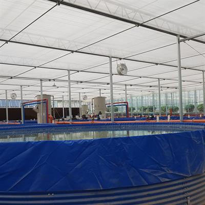 City of Advanced Agriculture and Aquaculture China Israel