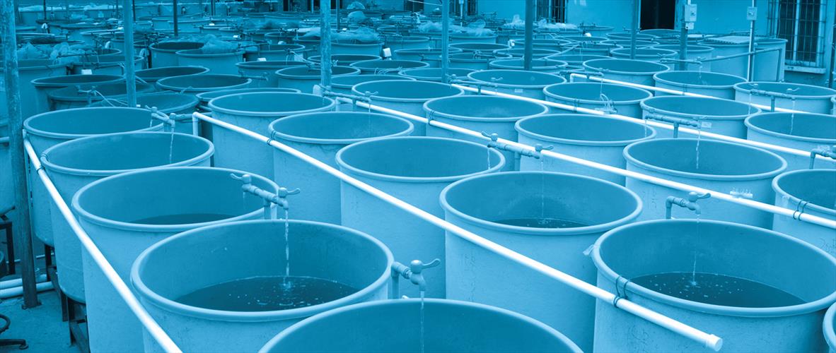 Hợp Tác với các Công Ty Chuyên Nghiệp và Khởi Nghiệp