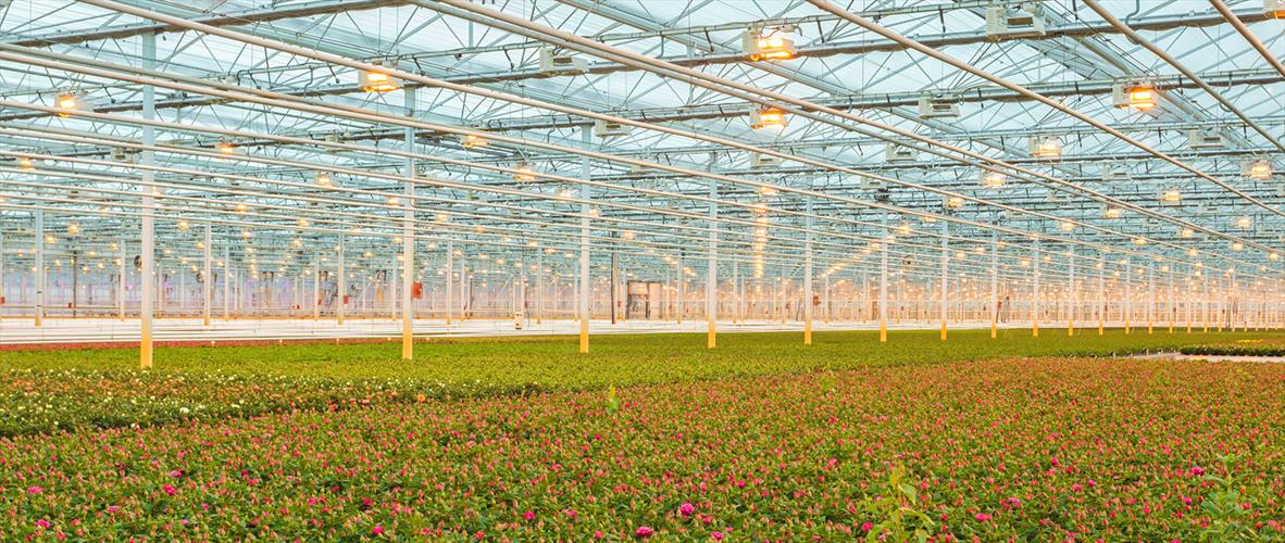 Bảo Trì các Dự Án Nông Nghiệp