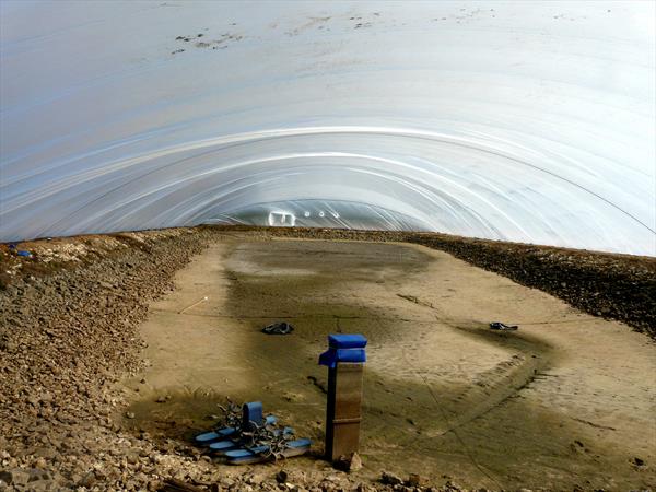 Aquaculture – Fish Hatchery for koi in Thailand-Dagan The Art of Agriculture