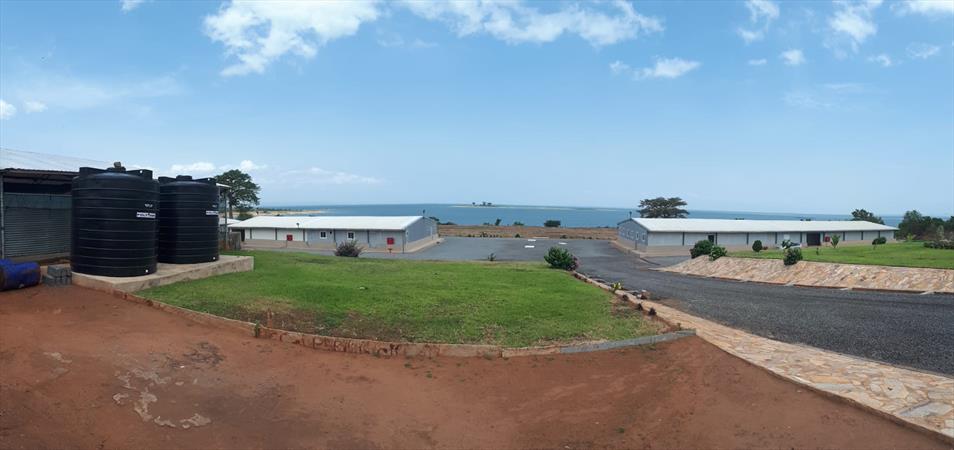 Offshore fish farming system In Ghana – Dagan the Art of Agriculture.