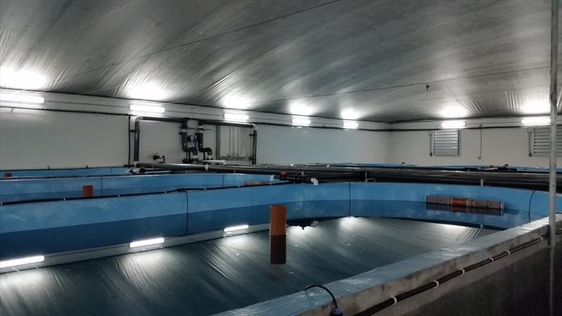 Recirculating Aquaculture System in Fujian China – Dagan