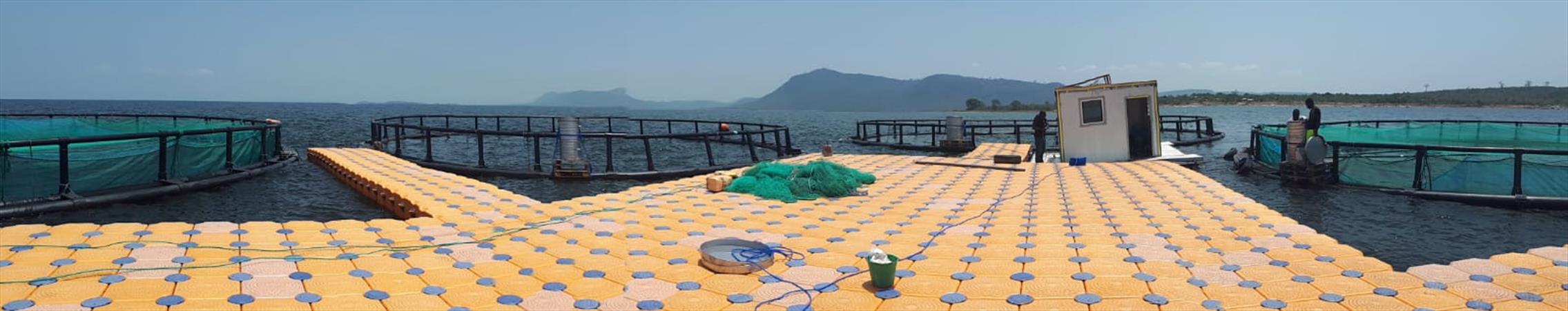 Offshore fish farming system In Ghana – Dagan the Art of Agriculture.