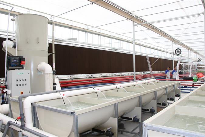 City of Advanced Agriculture and Aquaculture China Israel