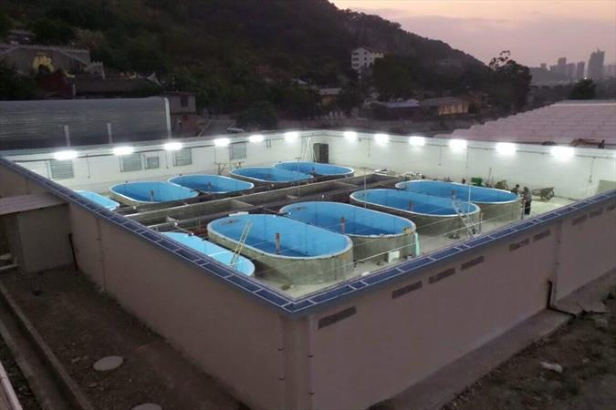Recirculating Aquaculture System in Fujian China – Dagan