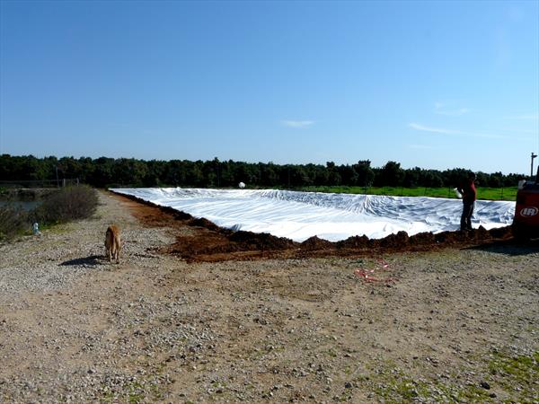 Aquaculture – Fish Hatchery for koi in Thailand-Dagan The Art of Agriculture