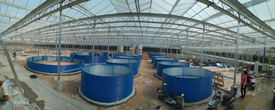 City of Advanced Agriculture and Aquaculture China Israel