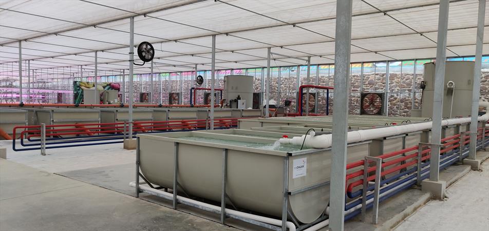 City of Advanced Agriculture and Aquaculture China Israel