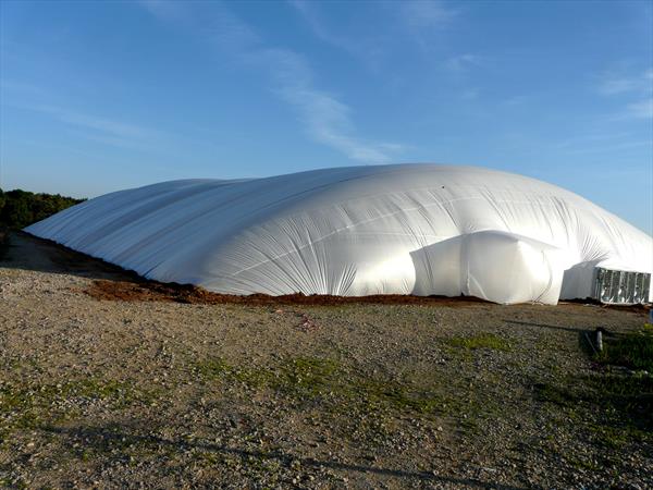 Aquaculture – Fish Hatchery for koi in Thailand-Dagan The Art of Agriculture